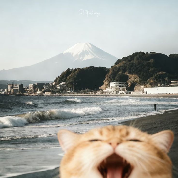 Atamanas